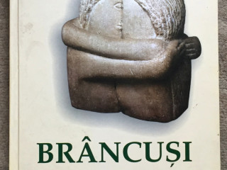 brancusi-la-craiova-paul-rezeanu