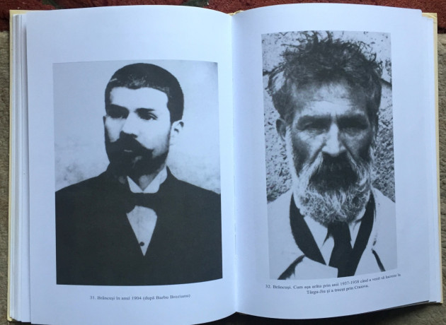 brancusi-la-craiova-paul-rezeanu-big-2