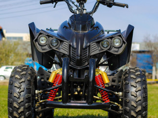 oferte-speciale-de-paste-atv-nitro-motors-akp-warrior-150cmc-cutie-cvt-automat