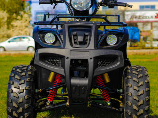 oferte-speciale-de-paste-atv-akp-grizzly-m10