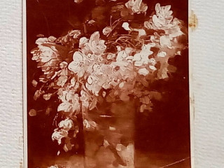 fotografie-flori-de-cires-reproducere-grigorescu