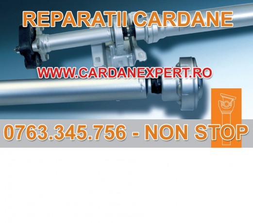 reparatie-cardan-vito-109111112-cdi-big-0
