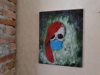 pictura-pe-panza-in-culori-acrilice-diverse-teme