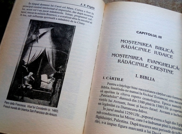 radacinile-culturii-occidentale-florence-braunstein-big-2