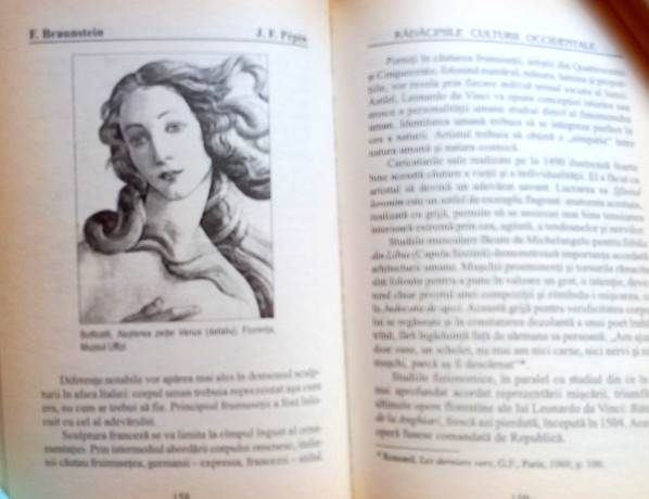 radacinile-culturii-occidentale-florence-braunstein-big-4