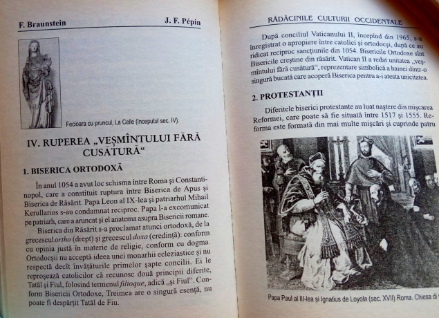 radacinile-culturii-occidentale-florence-braunstein-big-3