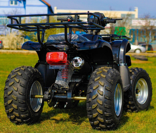 oferte-speciale-de-vara-atv-akp-grizzly-m10-big-2