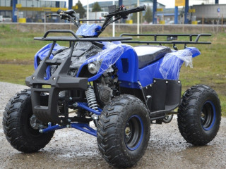 promotie-atv-kxd-motors-toronto-middi-m7-2021-automat