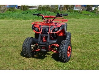 PROMOTIE : ATV NITRO MOTORS GRIZZLY QUAD M8, 2021, AUTOMAT