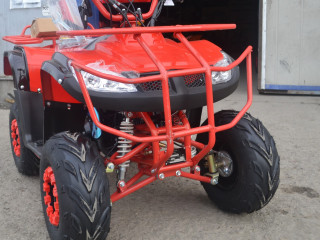 promotie-atv-nitro-motors-t-rex-bmw-m7-2021-automat