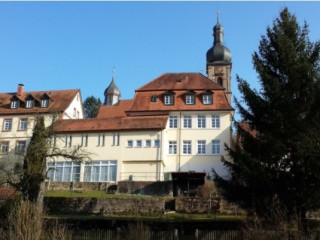 ingrijire-batrani-germania
