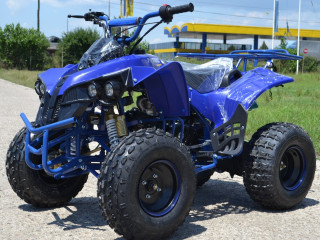 atv-warrior-m8-2021-automat