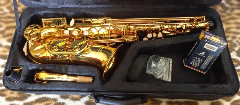 saxofon-marca-flamepro-mi-bemol-big-2