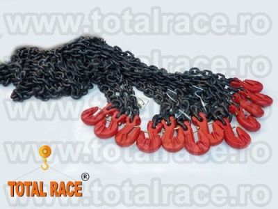 lant-de-ancorare-profesional