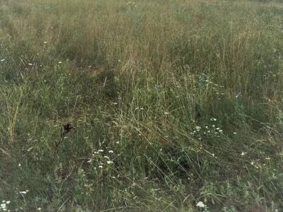 teren-abrud-9050-mp-supraofertare-pret