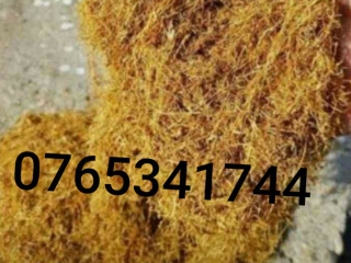 este-de-cloare-galben-auriu-la-150-pe-kg-pentru-mai-multe-la-tel