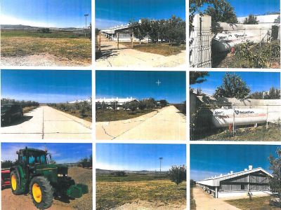 ferma-zootehnica-de-ingrasare-suine