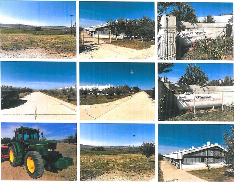 ferma-zootehnica-de-ingrasare-suine-big-0