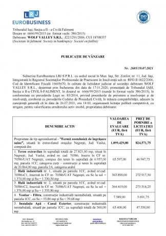 ferma-zootehnica-de-ingrasare-suine-big-1