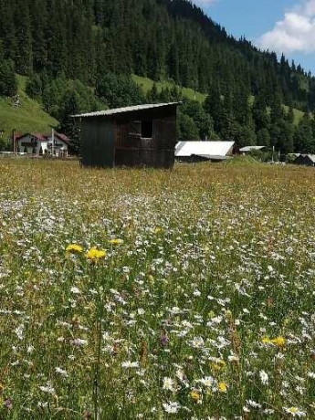 teren-de-vanzare-big-0