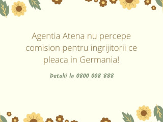 agentia-atena-cauta-ingrijitori