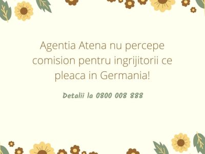 agentia-atena-cauta-ingrijitori