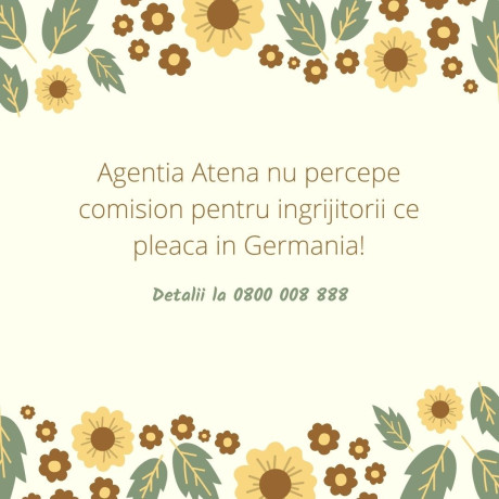 agentia-atena-cauta-ingrijitori-big-0