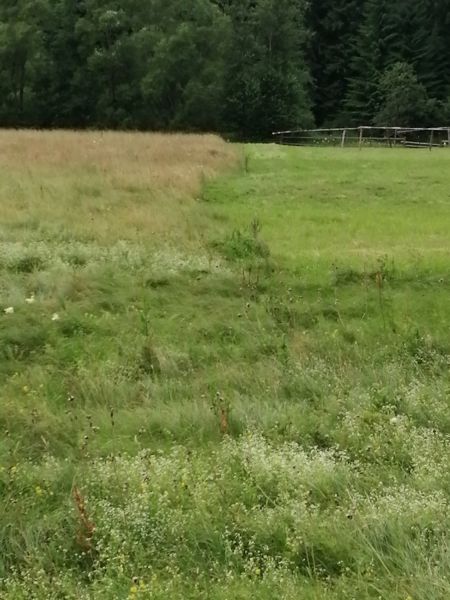 teren-de-vanzare-big-0