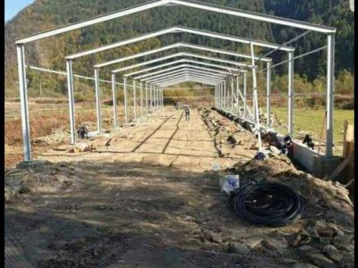 execut-hale-metalice-acept-si-auto