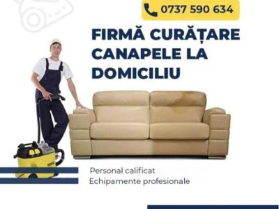 curatare-profesionala-pentru-canapele-si-saltele-profita