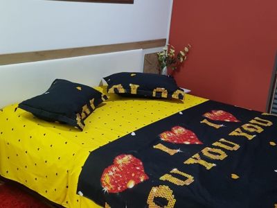 inchiriez-in-regim-hotelier-ultracentral-eminescu