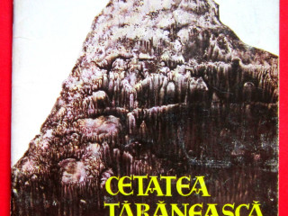cetatea-taraneasca-a-risnovului-emil-mici