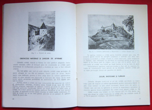 cetatea-taraneasca-a-risnovului-emil-mici-big-3