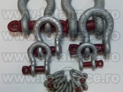 chei-de-tachelaj-chei-tachelaj-omega-shackles-gambeti-g209