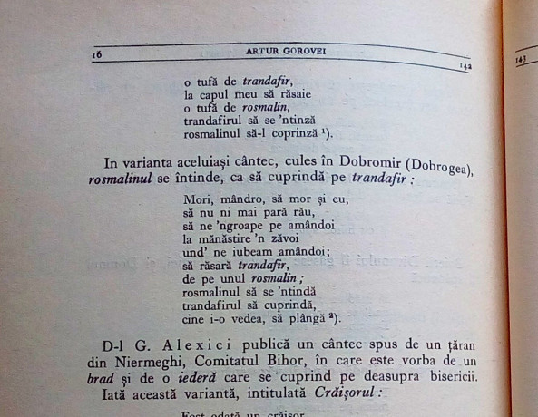 legenda-arborilor-imbratisati-artur-gorovei-big-3