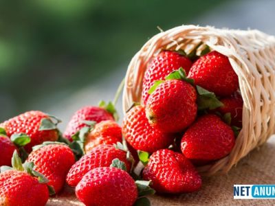 depozit-sortat-capsuni-germania