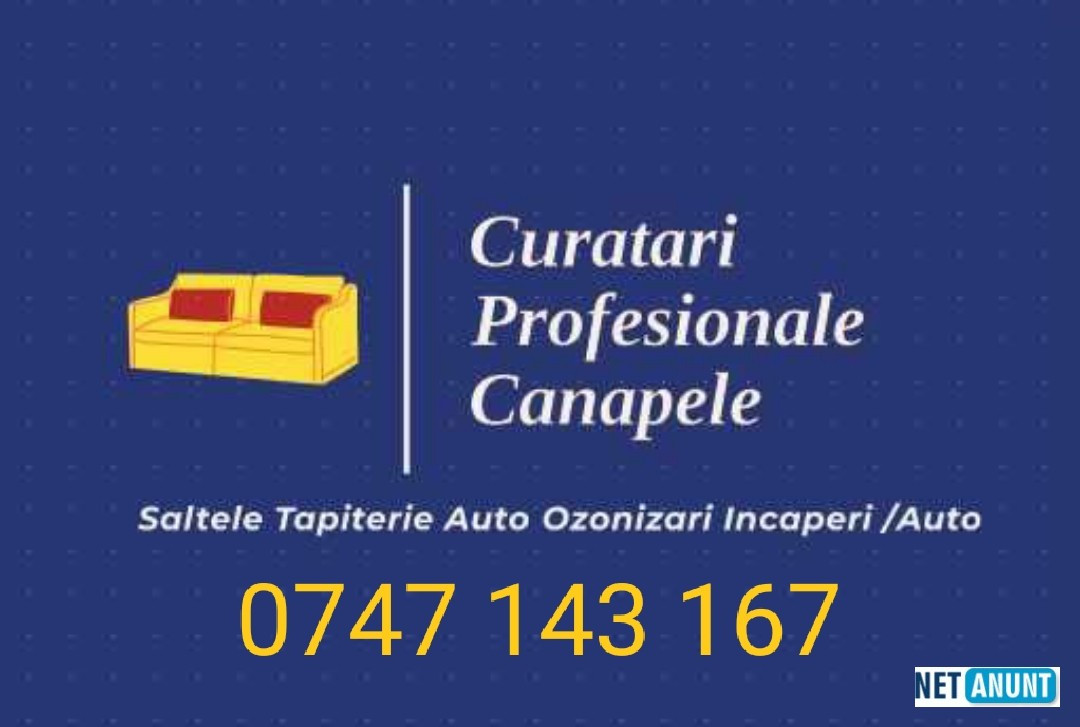 curatare-canapele-saltele-covoare-ozonizari-iasi