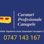 curatare-canapele-saltele-covoare-ozonizari-iasi-small-0