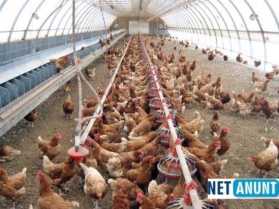 ferma-de-pasari-germania-ultimele-locuri