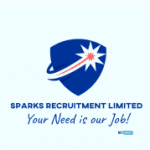 bucatar-sisau-ospatar-cu-experienta-in-uk-small-0