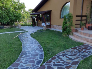 vand-piatra-si-montez-gratare-cascade-plante-ornamentale-amenajam-spati