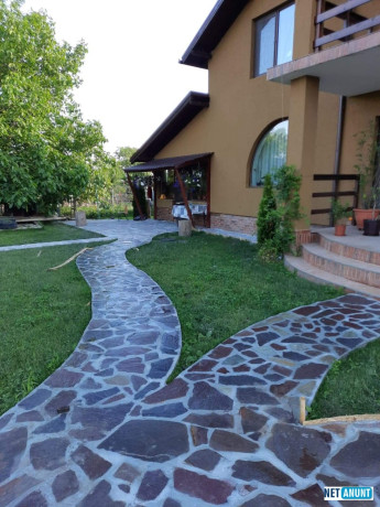 vand-piatra-si-montez-gratare-cascade-plante-ornamentale-amenajam-spati-big-0