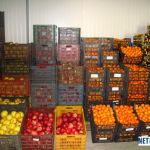 depozite-struguri-germania-small-0