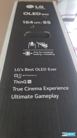 tv-smart-lg-big-1