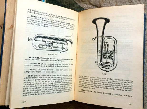 mic-dictionar-muzical-a-doljanski-big-4