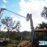 prestari-servicii-defrisari-terenuri-cu-utilaje-specializate-small-0