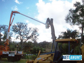 prestari-servicii-defrisari-terenuri-cu-utilaje-specializate