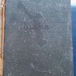 rosu-galben-si-albastru-ion-minulescu-1924-small-0