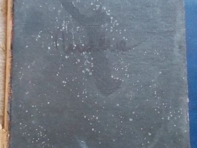 rosu-galben-si-albastru-ion-minulescu-1924