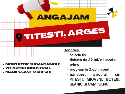 angajam-montator-subansamble-titesti-arges